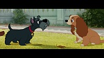 The Lady and the Tramp picture