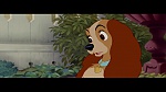 The Lady and the Tramp picture