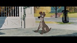 The Lady and the Tramp picture