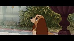 The Lady and the Tramp picture