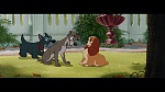 The Lady and the Tramp picture