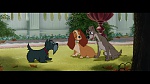 The Lady and the Tramp picture