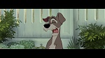 The Lady and the Tramp picture