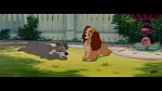 The Lady and the Tramp picture