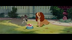 The Lady and the Tramp picture
