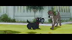 The Lady and the Tramp picture