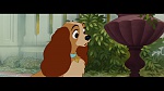 The Lady and the Tramp picture
