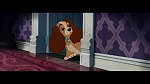 Image The Lady and the Tramp