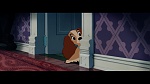 The Lady and the Tramp picture