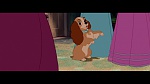 Image The Lady and the Tramp