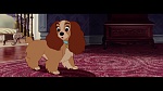 The Lady and the Tramp picture