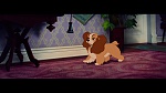Image The Lady and the Tramp