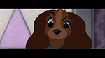 Image The Lady and the Tramp