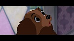 The Lady and the Tramp picture