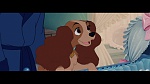 The Lady and the Tramp picture