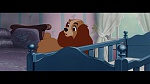 The Lady and the Tramp picture