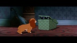 Image The Lady and the Tramp