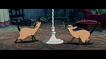 The Lady and the Tramp picture