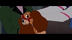 Image The Lady and the Tramp