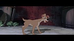 Image The Lady and the Tramp