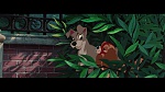 The Lady and the Tramp picture