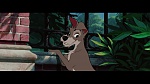The Lady and the Tramp picture