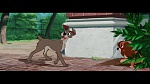 The Lady and the Tramp picture