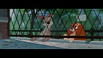 Image The Lady and the Tramp