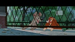 The Lady and the Tramp picture