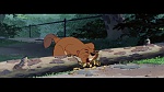 Image The Lady and the Tramp