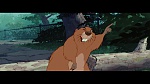 The Lady and the Tramp picture