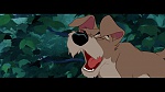 The Lady and the Tramp picture