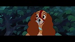 Image The Lady and the Tramp