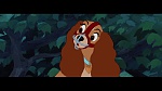 Image The Lady and the Tramp