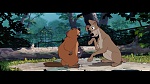Image The Lady and the Tramp