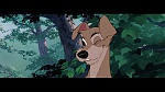 The Lady and the Tramp picture