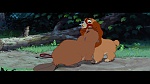 Image The Lady and the Tramp