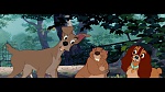 Image The Lady and the Tramp