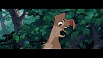 Image The Lady and the Tramp