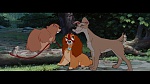 The Lady and the Tramp picture