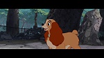 The Lady and the Tramp picture