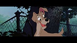 Image The Lady and the Tramp