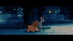 Image The Lady and the Tramp