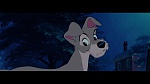 The Lady and the Tramp picture
