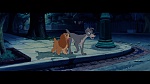 The Lady and the Tramp picture