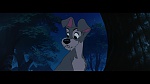 The Lady and the Tramp picture