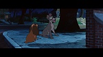 The Lady and the Tramp picture