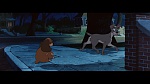 The Lady and the Tramp picture