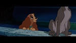 The Lady and the Tramp picture