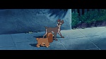 The Lady and the Tramp picture